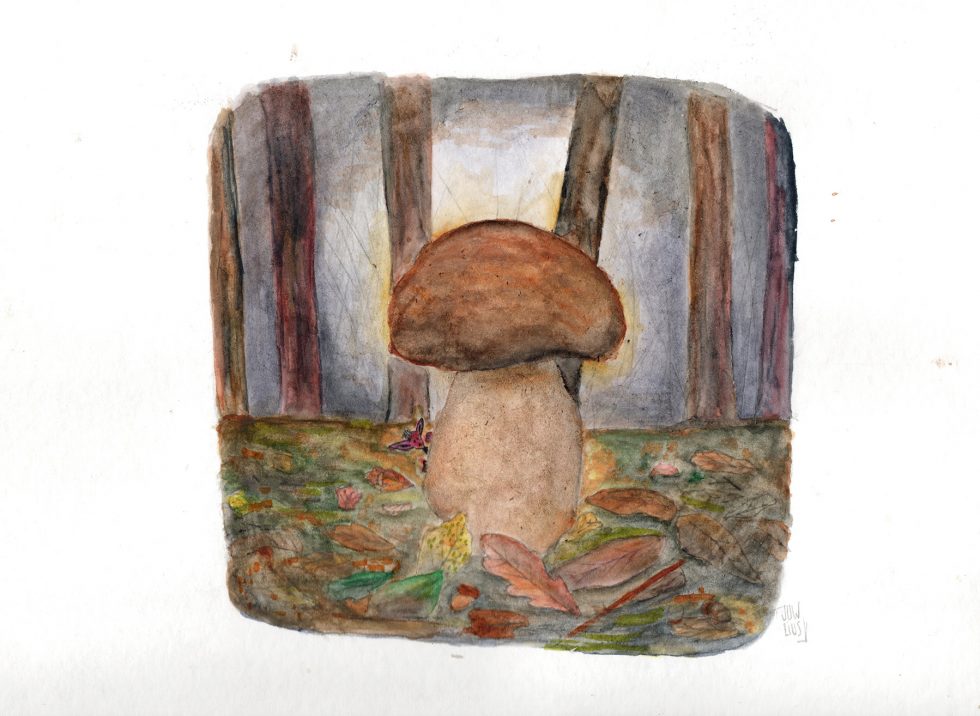 Le Bolet rond de Ravel - jw