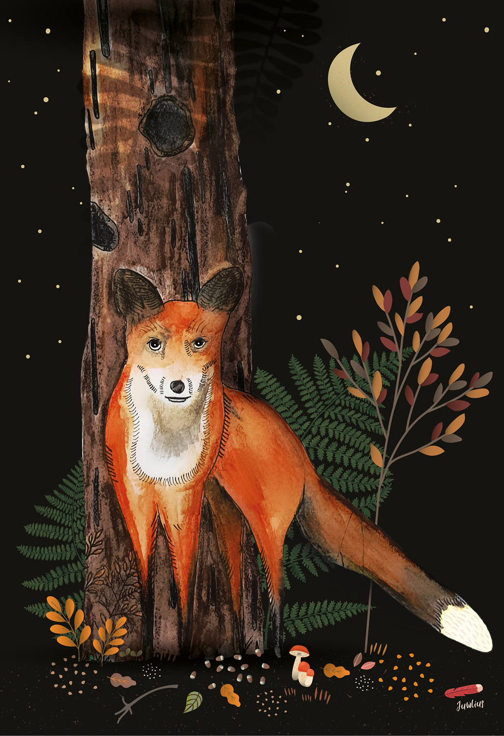 Fox in the night - jw
