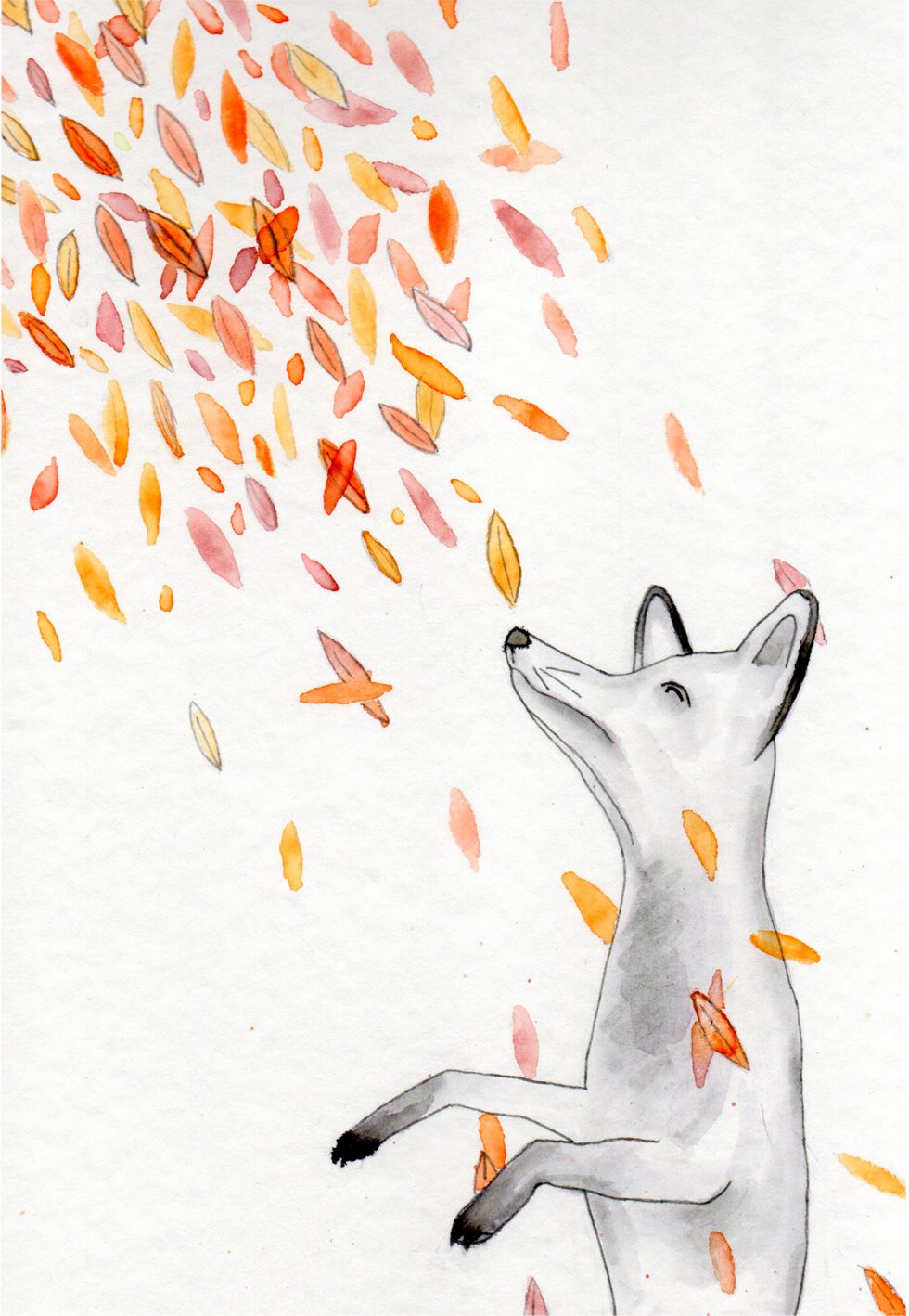 Looking for my colors - jw