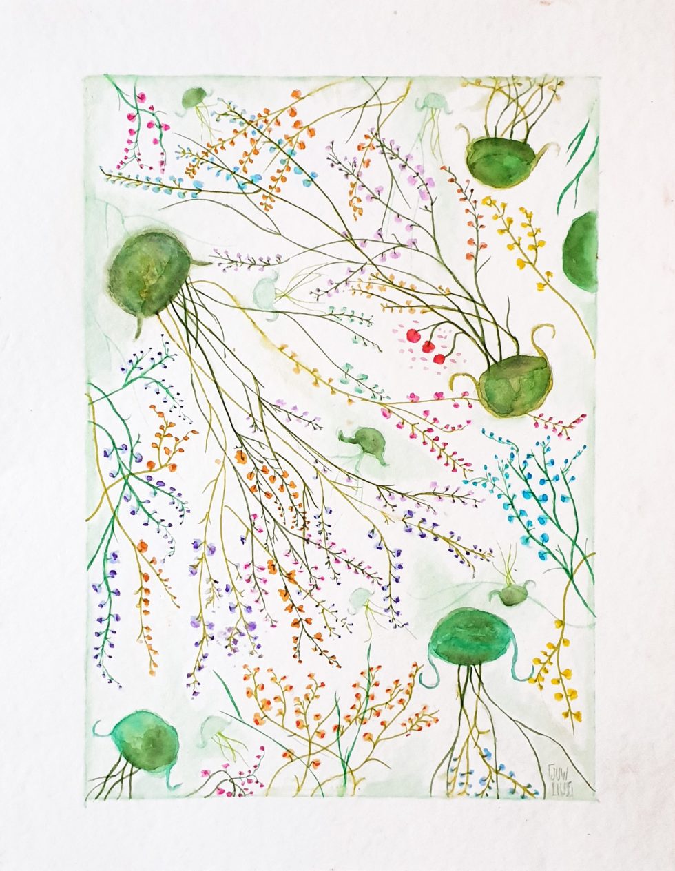 Médusines - illustration jw