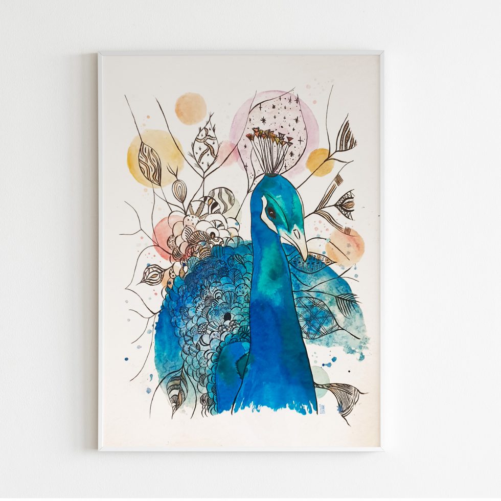 Le panache du Paon - illustration jw